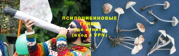 прущая мука Армянск